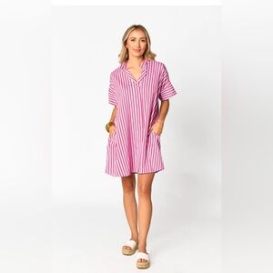 Striped Pink Button Down Dress